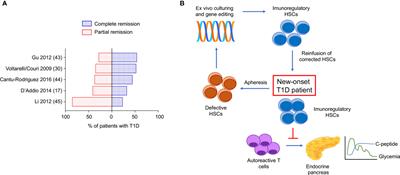 Hematopoietic Stem Cells in Type 1 Diabetes